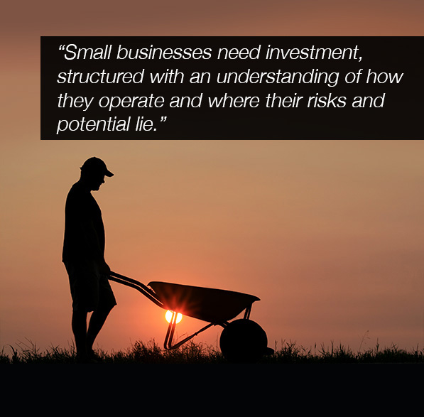 Decorative image with a quote -"Small businesses need investment, structured with an understanding of how they operate and where their risks and potential lie.”